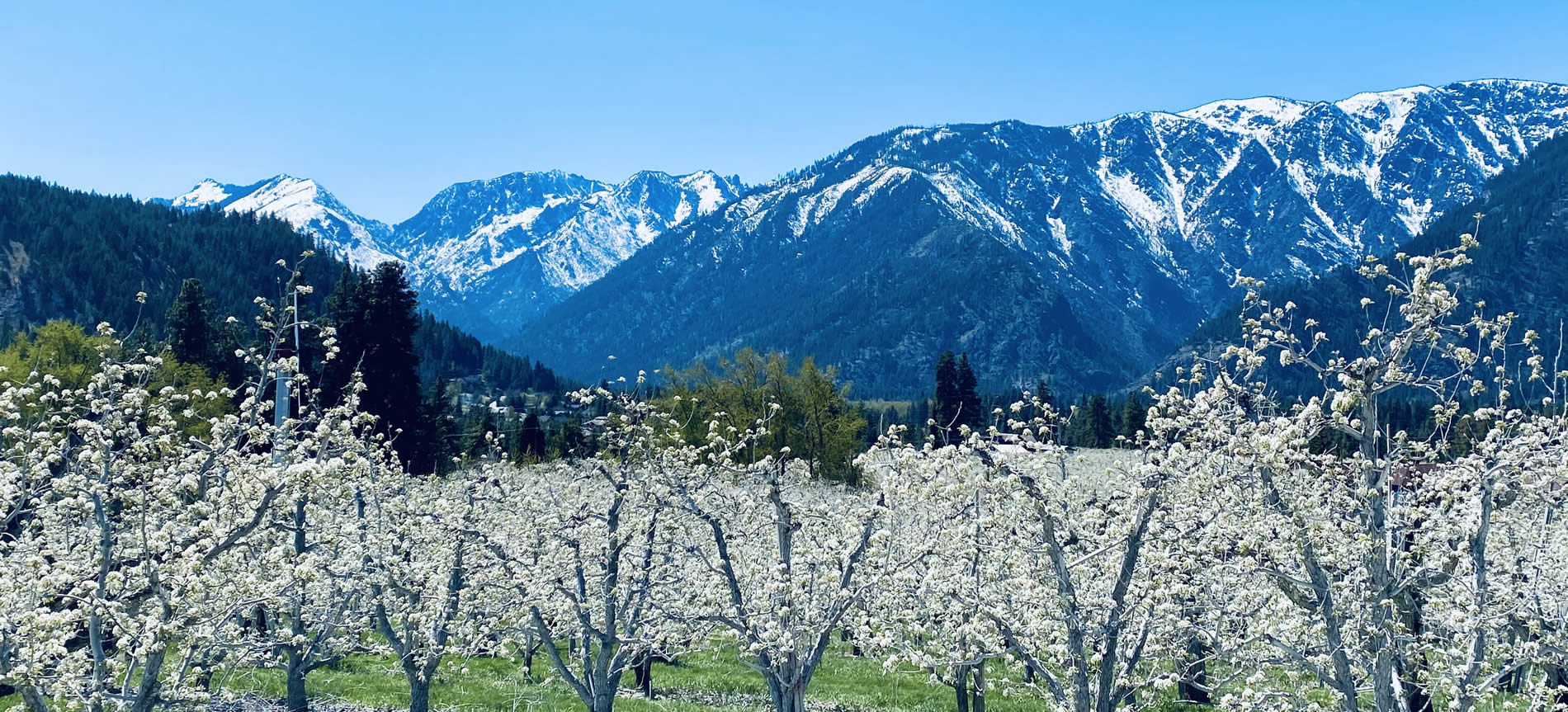 scenic view of fields and mountains leavenworth wa