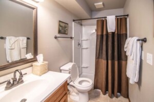 bathroom with shower, toilet and sink