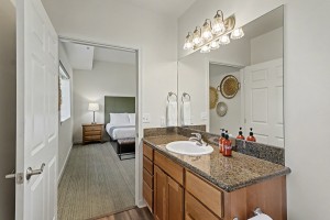 Wunderbar Condo Bathroom