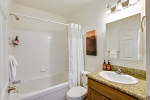 Wunderbar Condo Bathroom