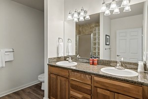 Wunderbar Condo Bathroom
